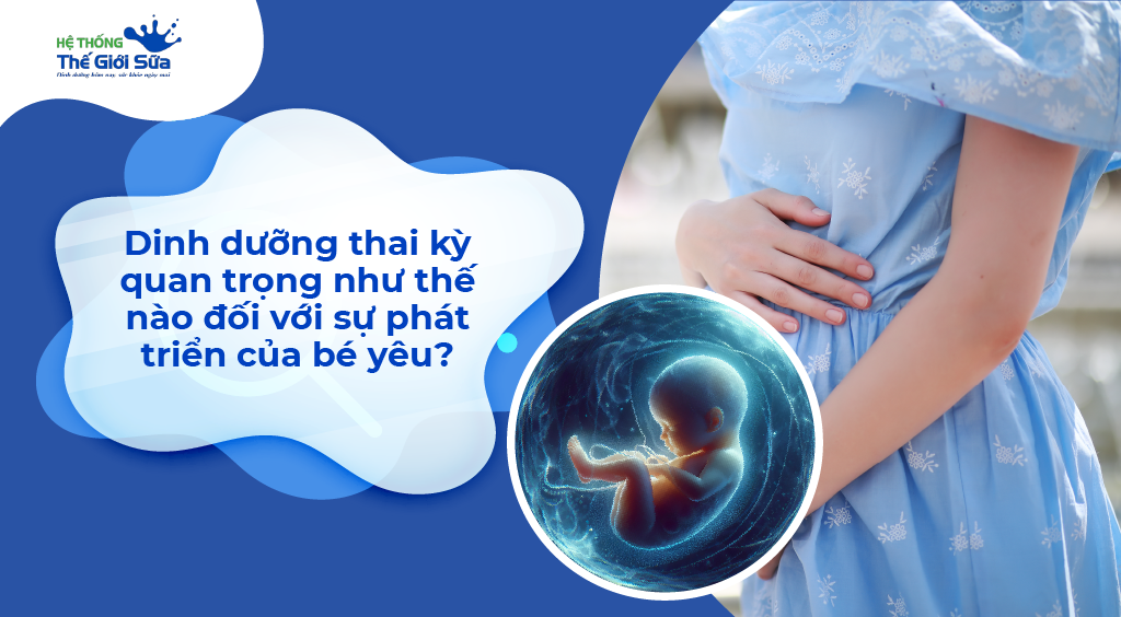 Dinh dưỡng thai kỳ quan trọng như thế nào đối với sự phát triển của bé yêu?