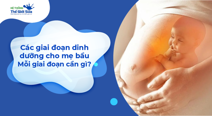 Các giai đoạn dinh dưỡng cho mẹ bầu – Mỗi giai đoạn cần gì?