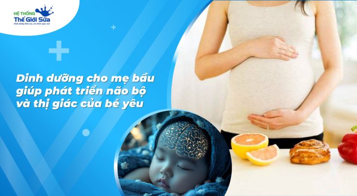 Dinh dưỡng cho mẹ bầu giúp phát triển não bộ và thị giác của bé yêu